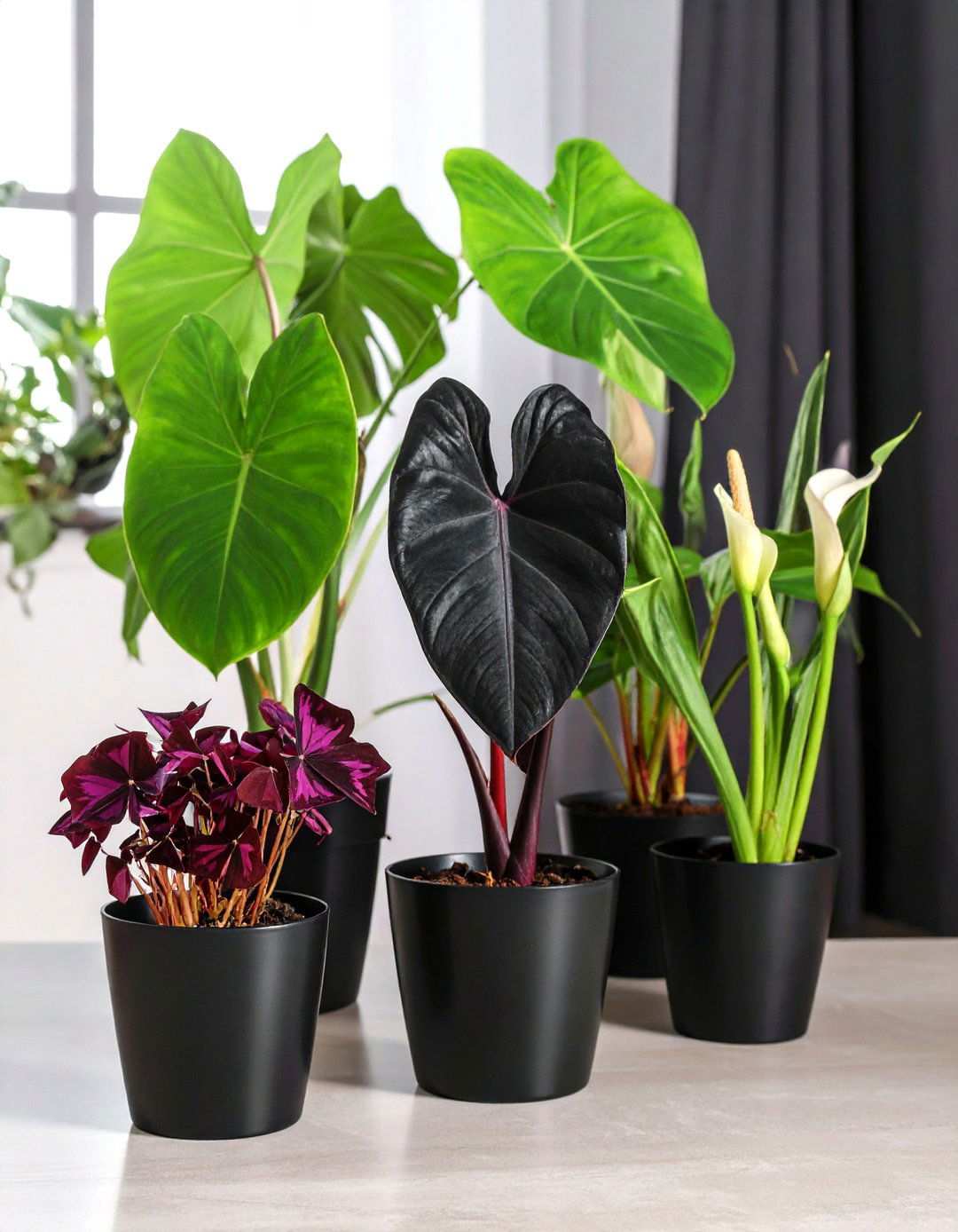 Employ a Cohesive Color Scheme in Your Potted Plant Arrangement - 20 Potted Plant Arrangement Ideas