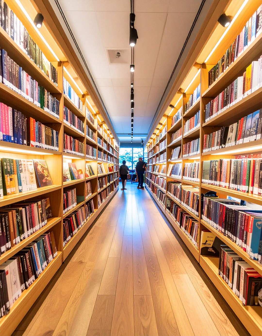 Manga Collection Storage in Anime Room Libraries - 20 Anime Room Ideas